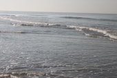 plage du Portel à Ste Cécile